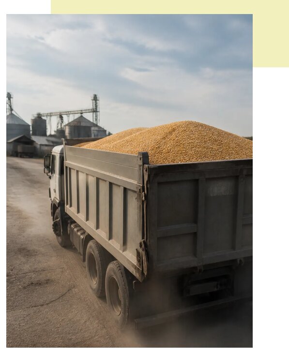 Перевозка сельхозпродукции навалом в Абакан по цене от 3065 р. | Агросервис-Бкн