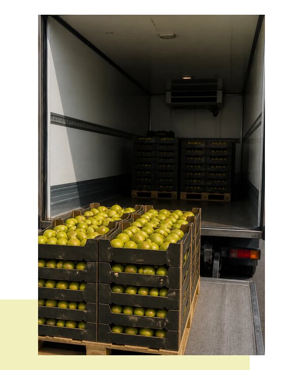 Перевозка груш в Абакан с соблюдением температурного режима